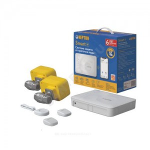 Система защиты от протечек воды нерж PROFI Smart+ Tuya 1/2" Ду 15 Ру40 ВР Neptun 2264867