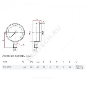 Манометр гидрозаполненный ТМ-320P.20 радиальный Дк63мм 0-0,6 МПа G1/4" силикон Росма 00000030535