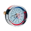 Термоманометр ТМТБ-31Т.1 осевой Дк80 2,5МПа L=46мм G1/2" 120С Росма 00000034456