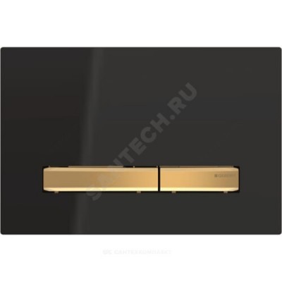 Кнопка для инсталляции Sigma 50 Geberit 115.672.DW.2