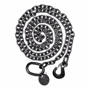 Цепь подъемная с карабином сталь оц L=10 м Grundfos 98425783