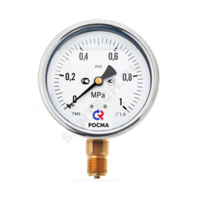 Манометр ТМ-520Р.00 радиальный Дк100мм 0-6 МПа G1/2" Росма 00000005655
